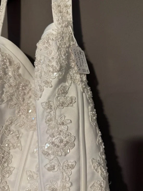 David’s Bridal Ballgown Wedding Dress - Picture 3 of 16